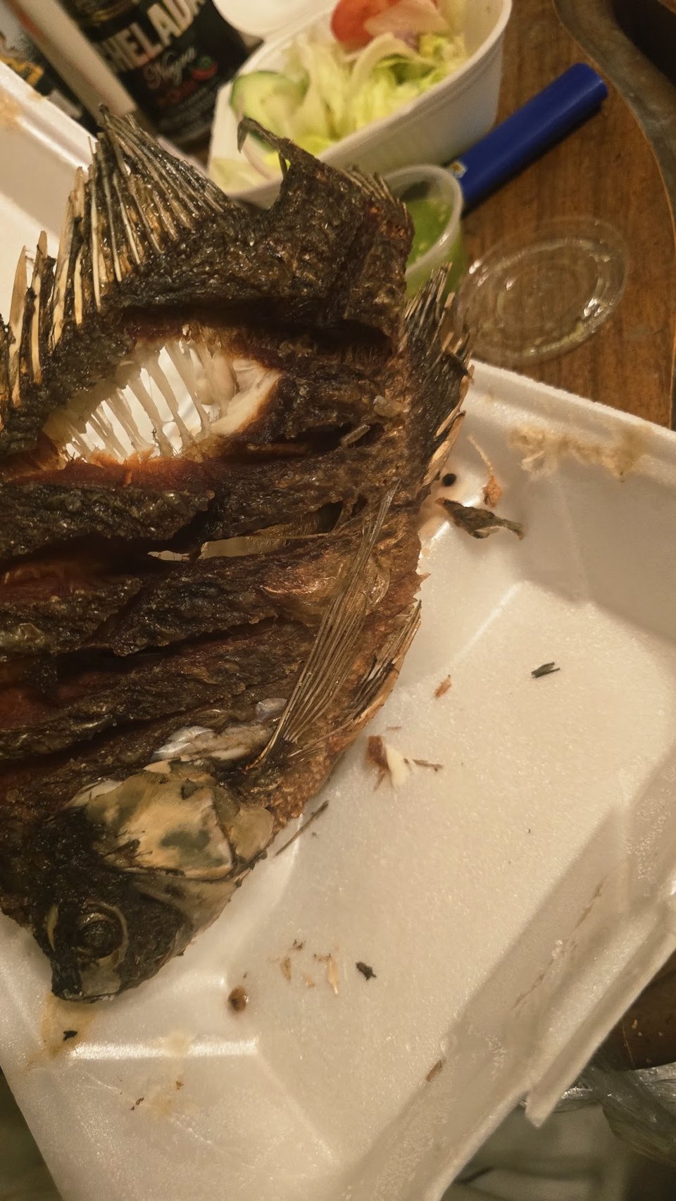 Mackerel